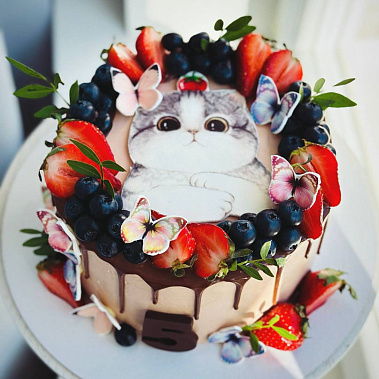 Торт "Котенок" купить - раменское.сладкоежкин.рф